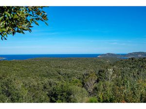 Vente propriété 8 pièces 285 m² à Bonifacio (20169)  2 450 000 €