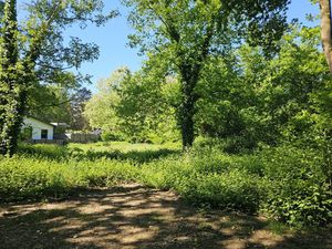 Grond te koop in Tessenderlo-Ham