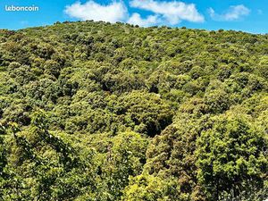 Terrain 23704 m² APPIETTO