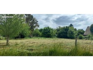 Terrain secteur Aillant sur tholon