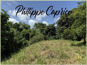 Vente terrain 1015 m² à Marin (97290)  120 000 €