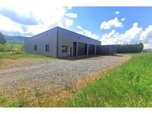 Local Commercial 5 pièces - 300 m²