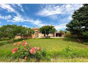 Authentique Mas en pierre sur 4021 m²  vue Mont Ventoux- 2 habitations