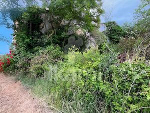 Vente terrain 4100 m² à Châteauneuf-de-Galaure (26330)  129 000 €