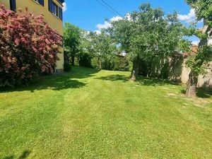 Appartement 5 pièces en rez-de-jardin avec cave et terrasse