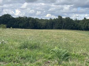 Vente terrain 3140 m² à Angoisse (24270)  22 100 €