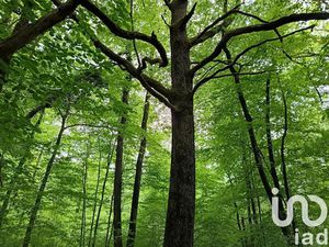 Vente terrain 8960 m² à Saint-Sulpice-de-Pommeray (41000)  17 000 €