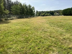 Vente terrain 1579 m² à Choussy (41700)  28 750 €