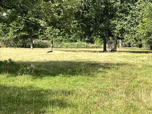 Vente terrain 1592 m² à Choussy (41700)  28 750 €