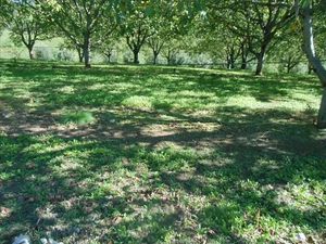 Vente terrain 2549 m² à Glanes (46130)  43 206 €