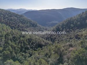 Vente terrain 1371 m² à Saint-Cézaire-sur-Siagne (06530)  8 990 €