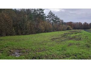 Vente terrain 1940 m² à Lassay-sur-Croisne (41230)  39 550 €