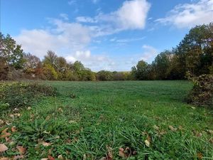 Vente terrain 4368 m² à Vailhourles (12200)  34 200 €