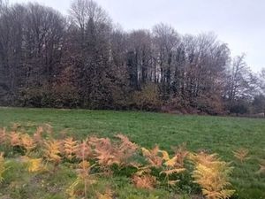 Vente terrain 8315 m² à Saint-Jal (19700)  34 200 €