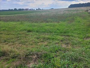 Vente terrain 1512 m² à Saint-Epain (37800)  56 000 €