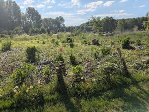 Vente terrain 918 m² à Wanquetin (62123)  60 000 €