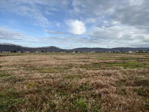 Vente terrain 1037 m² à Bordes (64510)  77 420 €