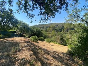 Vente terrain 2746 m² à Mouans-Sartoux (06370)  245 000 €