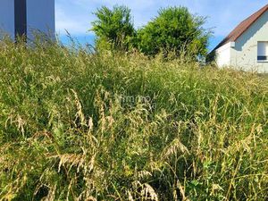 Terrain 971 m² Oberroedern
