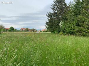 Maison 3 pièces 70 m²