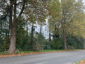 Terrain constructible sur 7 75 ares et 88 mètres de façade