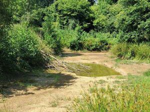 Vente Terrain à Rougé (44660) : à vendre / 1230m² Rougé