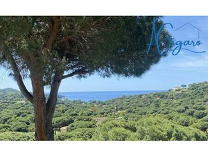 Achat Appartement 2 pièces 44m² LA CROIX VALMER 83420