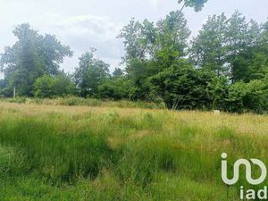 Vente Terrain à Margaux (33460) : à vendre / 503m² Margaux