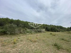 Vente terrain 49670 m² à Sauteyrargues (34270)  44 000 €