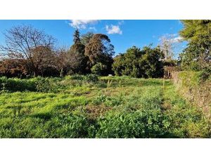 Terrain de 741 m2 - Mauguio  Occitanie