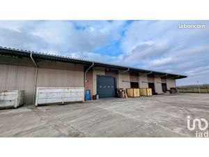 Local 1500 m² NEUFMOUTIERS-EN-BRIE