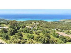 Terrain Corbara (2B)