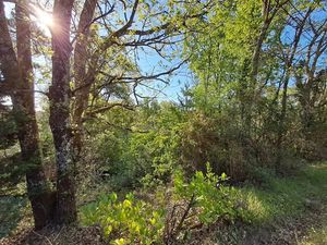 Vente terrain 7614 m² à Ginestet (24130)  14 000 €