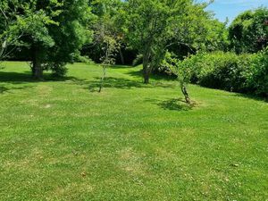 MOUROUX - BEAU TERRAIN À BÂTIR 776 M² - FAÇADE 12 51 M - ASSAINISSEMENT COLLECTIF