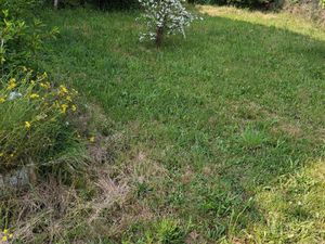 Vente commerce 292 m² Saint-Ferréol-d'Auroure (43330)