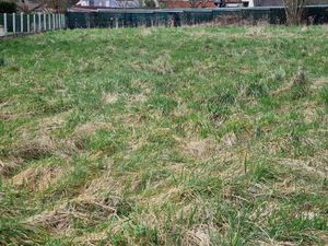 SAINT-AUGUSTIN - GRAND TERRAIN À BÂTIR 801 M² - FAÇADE 14 80 M - VIABILITÉS SUR RUE