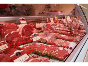 Fonds de commerce - Bergues - - 365 000€