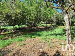 Vente terrain 1164 m² Crandelles (15250)