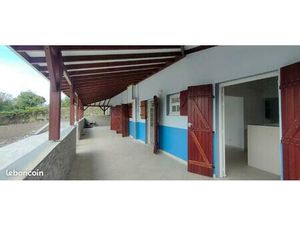 Grand appartement T2