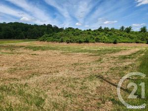 Terrain 9 519 m² Saint Vincent Le Paluel