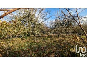 Vente terrain 1050 m² Saint-Germain-sur-Morin (77860)
