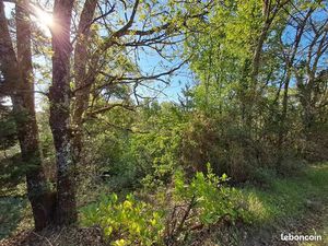 Terrain 7 614 m² Ginestet