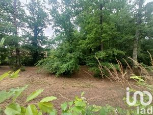 Vente Terrain 1 567 m²