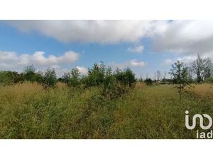 Vente terrain 2430 m² Claira (66530)