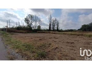 Vente terrain 3239 m² Claira (66530)