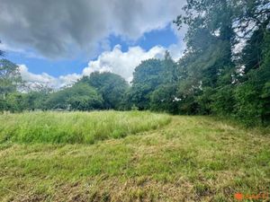 Vente terrain 1787 m² à Vatteville-la-Rue (76940)  58 000 €