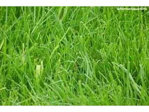 Vente terrain à batir 1688 m² à Verjux (71590)  29 000 €