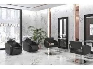 Vente locaux professionnels à Fontenay-aux-Roses (92260)  69 000 €