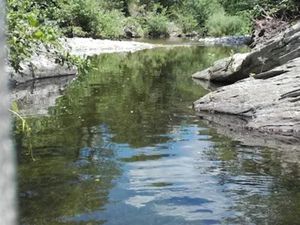 Vente maison 7 pièces 233 m² à Ribaute-les-Tavernes (30720)  530 000 €