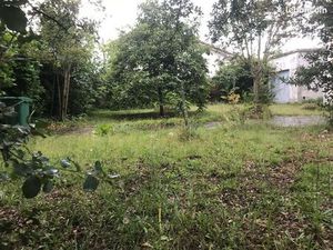 Terrain 250 m2 libre de tout constructeur